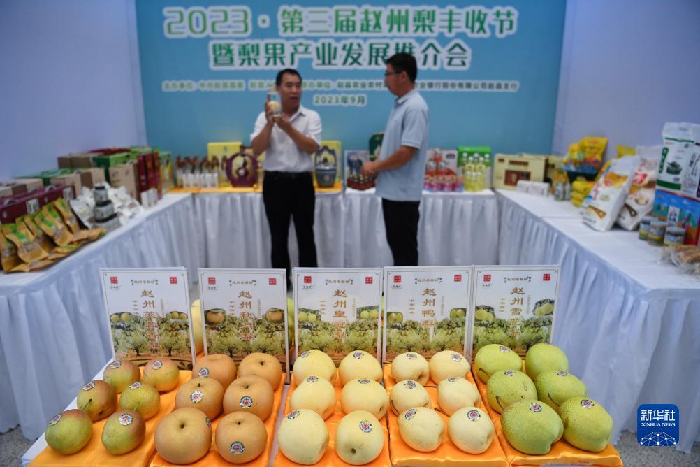 摇钱树论坛39814.con